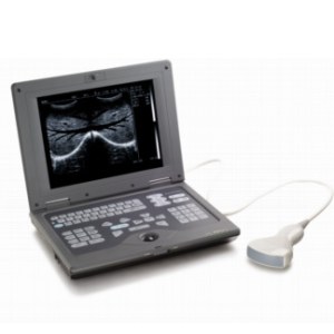 Notebook ultrasound scanner - Dolphi