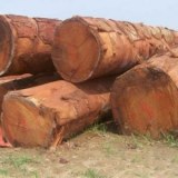 Teak Wood For Sale