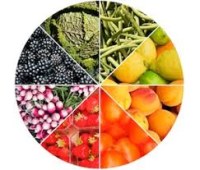 Vente de fruits et légumes