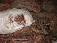 Cables de cobre desnudo