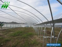 Sell Tunnel-Connected Greenhouse