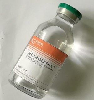 Achetez du Nembutal, la Kétamine (WhatsApp : +33605811506)