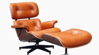 Eames Lounge Chair and Ottoman