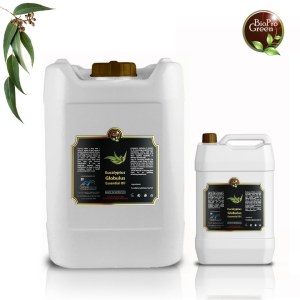Aceite Esencial de Eucalipto Globulus – 100 % Puro y Natural