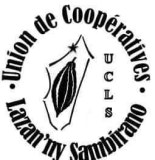 Fournisseur de Cacao Bio