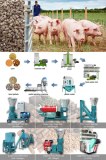 Animal Feed Mill Plant Pig Feed Processing Business In Nigeria