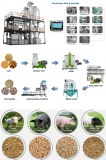 Poultry Feed Pellet Making Machine Pig Feed Pellets Production Process