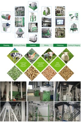 How To Start A Feed Pellet Production Line