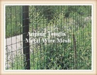 Welded Wire Fences/Vinyl Coated Welded Wire Fences/Wire Fencing Panels