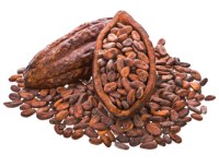 Ventes de Fèves de cacao