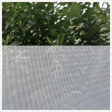 Pantalla de la ventana de fibra de vidrio evitar el mosquito de insectos