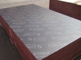 Cheap brown film face plywood for middleeast