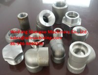 Professional Forged Foundry Metal Forging from China