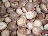 Frozen shiitake