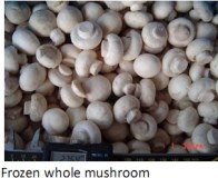 Frozen whole mushroom