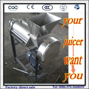 Small Model Fruit And Vegetable Juice Making Machine