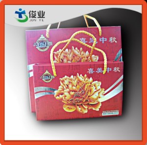 Full Color Printing Handle Gift Bags