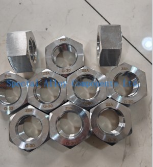 G30 BIG HEX NUTS