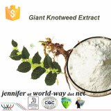 Fuerte antioxidante 98% Trans-resveratrol extracto knotweed gigante natural puro