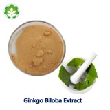 100% natural ginkgo extract 24% ginkgo flavone glycosides