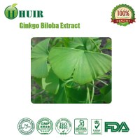 China manufacturer supply ginkgo biloba extract for medicine