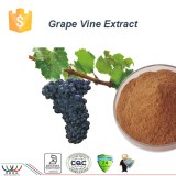 Puro equilibrio natural de azúcar en la sangre de uva antioxidante extracto de vid