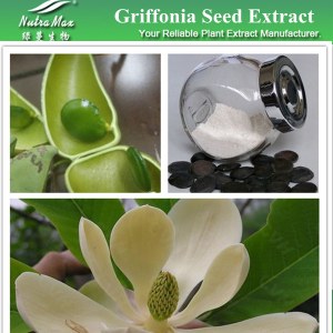 Griffonia Seed Extract 98% 5-HTP Powder (sales07@nutra-max.com)