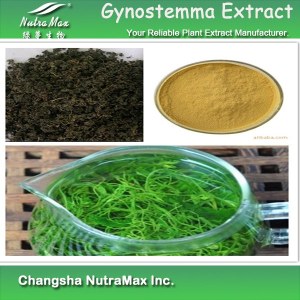 Gynostemma Extract 98% Gypenosides (sales07@nutra-max.com)