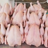 Premium Quality Halal Frozen Whole Chicken And Chicken Parts