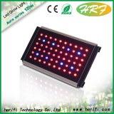 Red light grow hydroponic led lights
