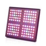 Best 240W LED Grow Lights ZS005 120X3w Moudle Design Full Spectrum LED Grow Light -Diam...