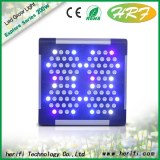 Blue light indoor grow led lightings