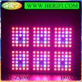 Led grow light for sell