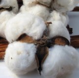 Fardo de algodón crudo natural 100% orgánico de grado A para la venta
