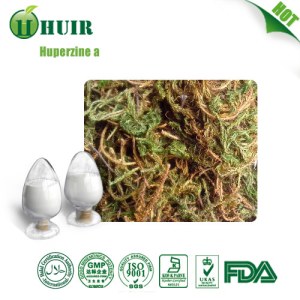 Factory Supply high quality Huperzine A