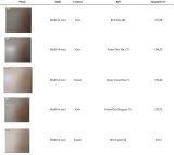 Lot carrelages Espagnols