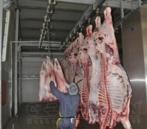 Abattoir