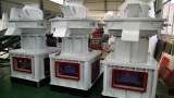 Ring die pellet mill for molding material granulating
