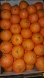 Lot d'orange navel, tomate et legumes