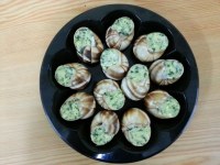 Selling escargot, frozen snails meat, Helix lucorum, helix pomatia, helix aspersa