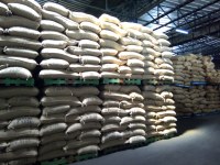 Venta de granos de café verde robusta hechos en Costa de Marfil