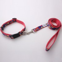 China OEM manufacturer wholesale dog collar