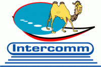 International de Commerce et de Services   INTERCOMM est une