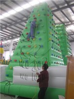 2015 PVC Inflatable Climbing Wall Inflatable on sale !!!