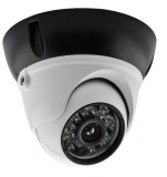 1/3" Sony CCD IR Dome Camera (KW-W2096HS)