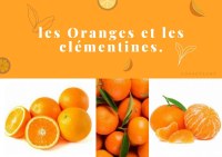 Naranja y clementinas