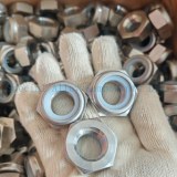SS316 Nylon Insert Lock Nuts