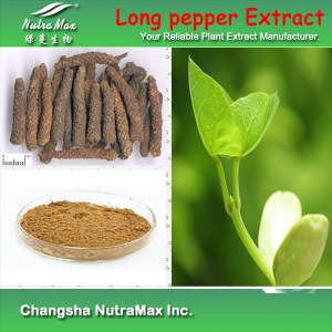 100% Natural Long pepper Extract 10:1 (sales07@nutra-max.com)