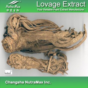 Lovage Extract (sales07@nutra-max.com)