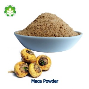 High quality maca plant extract herbal supplements